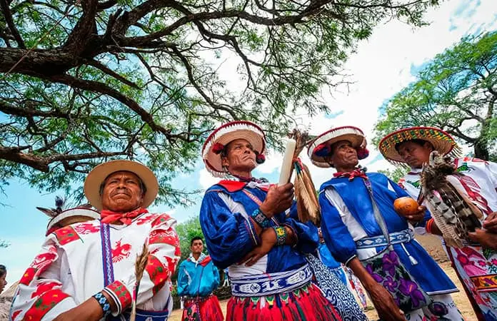 ¿Qué industrias amenazan a la Ruta Wixárika?