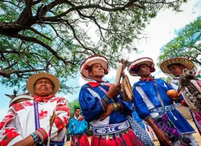 Industrias amenazan a la Ruta Wixárika
