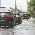 Libera agua Lago Mayor  del Tangamanga I
