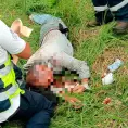 Motociclista pierde la vida al sufrir accidente