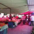 Pega duro carestía a San Luis P.