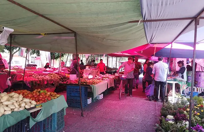 Pega duro carestía a SLP