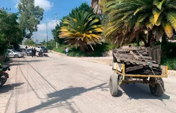 Automovilista choca contra una carreta