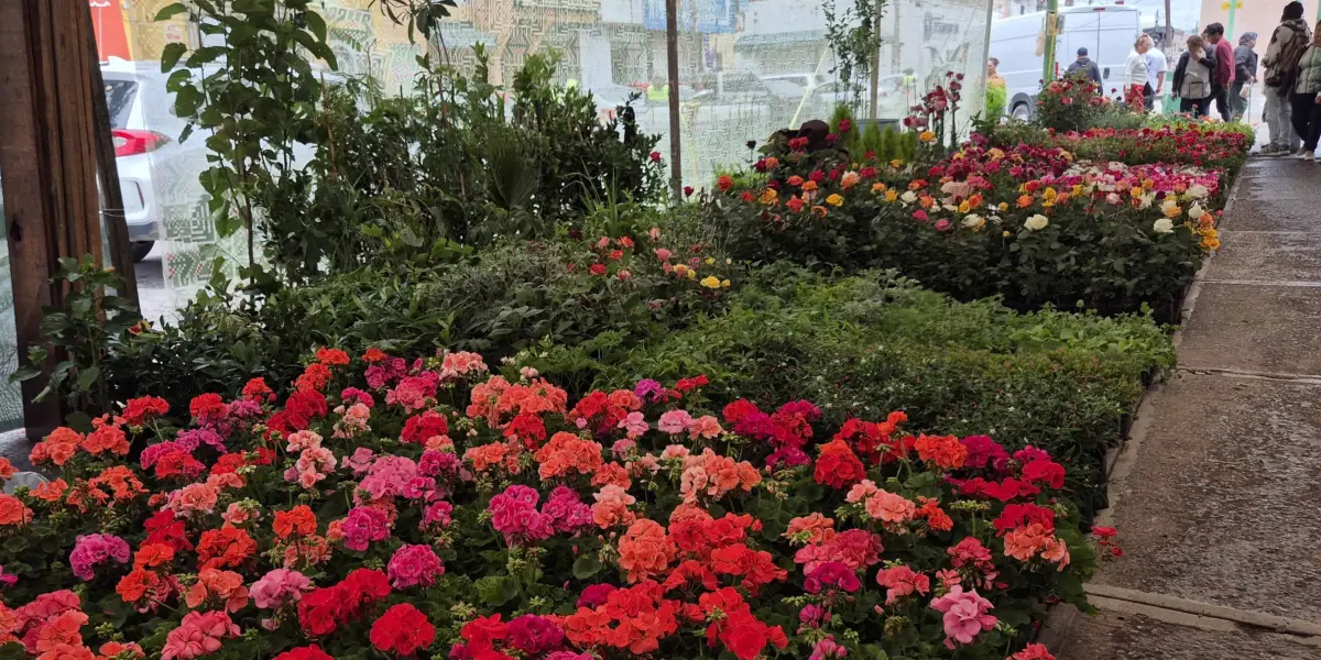 200 expositores en Feria de las Flores de Soledad