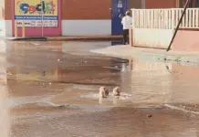 Zona norte, la m&aacute;s afectada por infraestructura obsoleta: Interapas