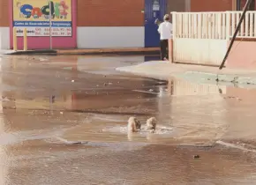 Zona norte, la más afectada por infraestructura obsoleta: Interapas