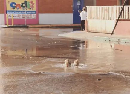 Zona norte, la más afectada por infraestructura obsoleta: Interapas