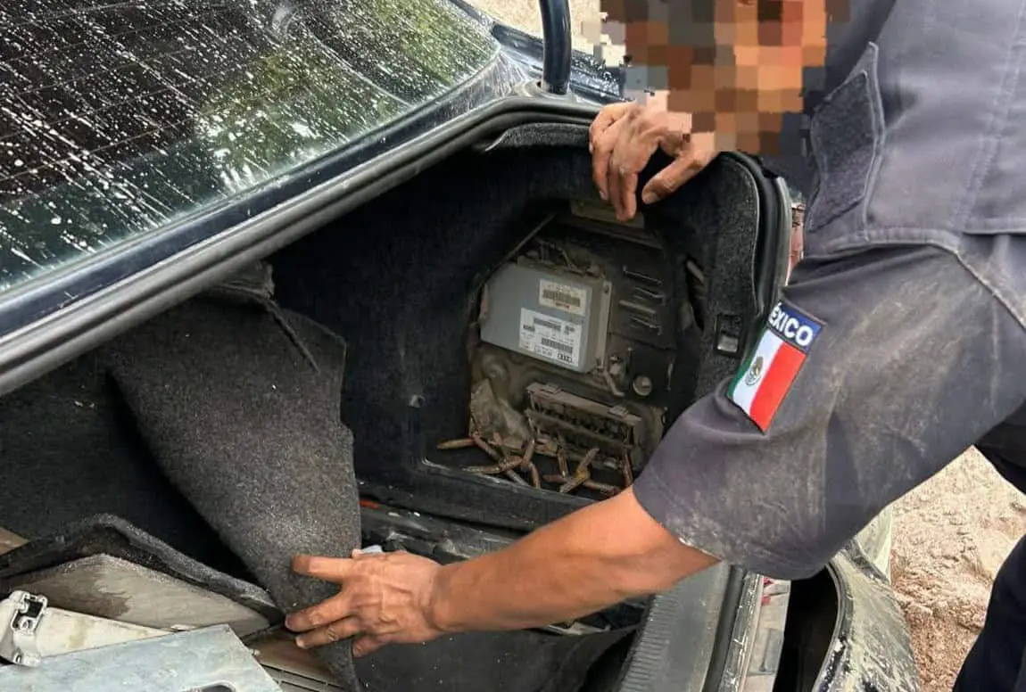 Fotos: Huasteca Hoy