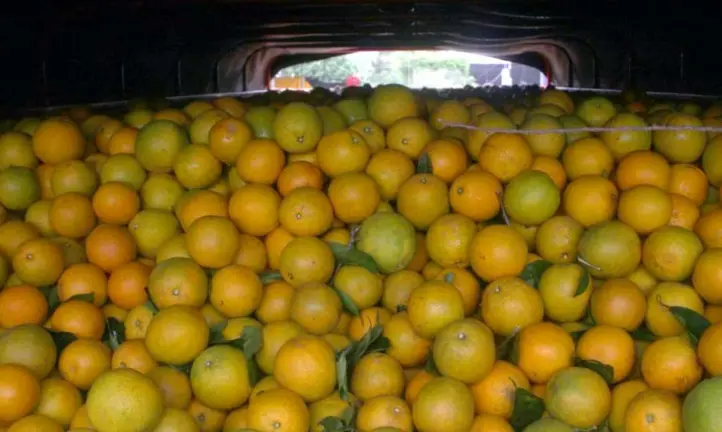 15 años de prisión por robar un camión con 20 toneladas de naranja