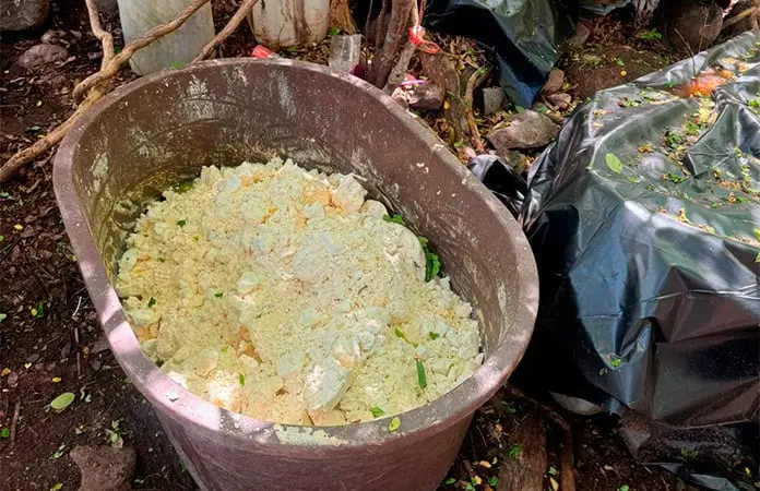 Desmantelan en Sinaloa seis narcolaboratorios