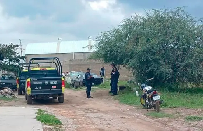 Hallan restos de recién nacido en Col. Las Flores