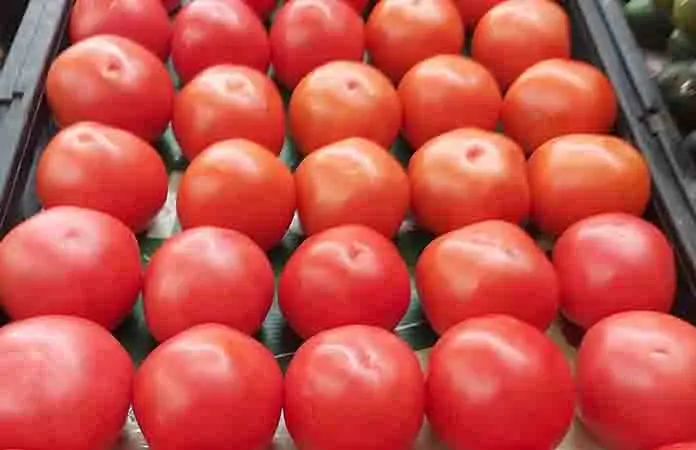 Se mantiene el precio del jitomate potosino