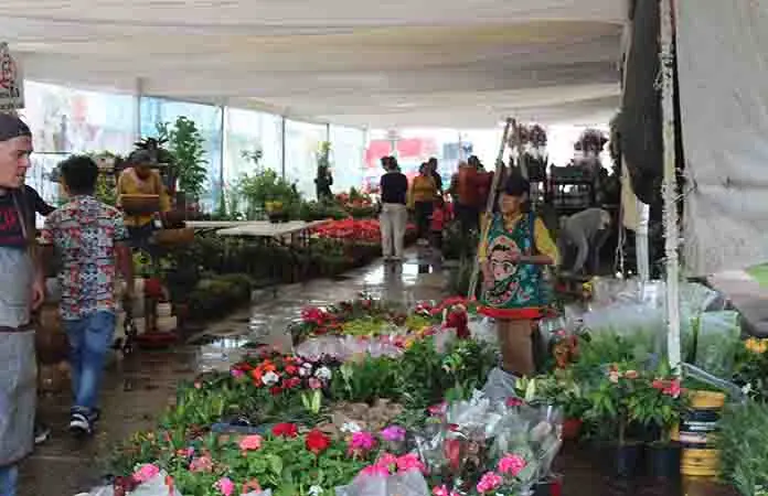 Soledad invita a la Feria de las Flores