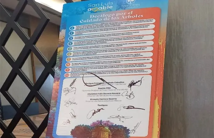 NUESTROS INCOMPRENDIDOS ÁRBOLES URBANOS