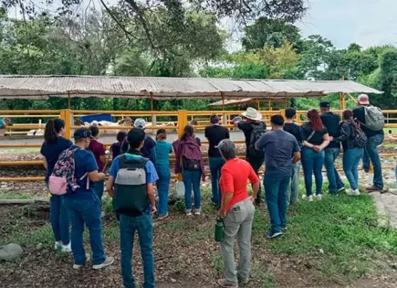 Alumnos de veterinaria fortalecen enseñanzas