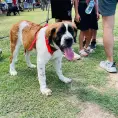 Un éxito, evento K-mina con causa