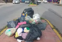 Recolectan mil toneladas de basura diarias en la capital