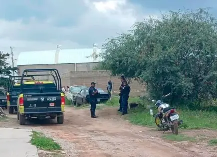 Hasta 4 casos de abandono de feto van en este año