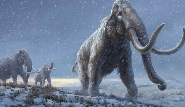 UNAM revela los hábitos alimentarios de un bebé mamut que vivió en San Luis Potosí