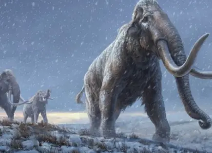 UNAM revela los hábitos alimentarios de un bebé mamut que vivió en San Luis Potosí