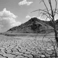 Realizarán Foro de Cambio Climático