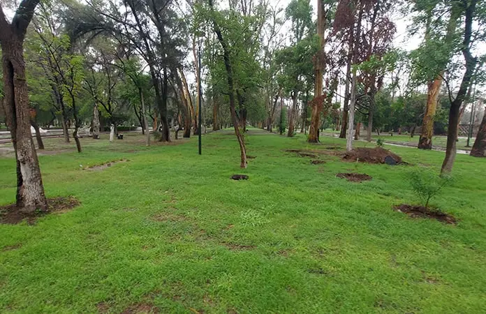 Sequía desaparece en SLP