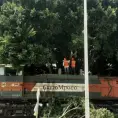 Cercenan árbol en Hernán Cortés; alcaldía prepara sanción