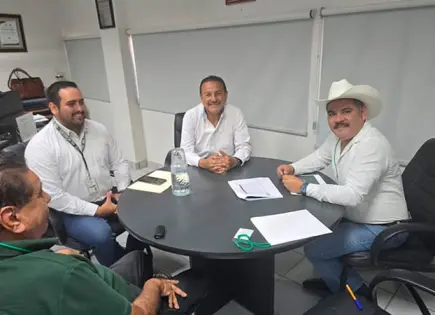 Aprueban varias obras de energía eléctrica