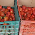 Arancel descarrila ventas de tomate en Centro de Abastos