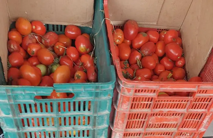 Arancel descarrila ventas de tomate en Centro de Abastos