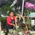 Desde Morelia, Reina oferta plantas exóticas en Soledad