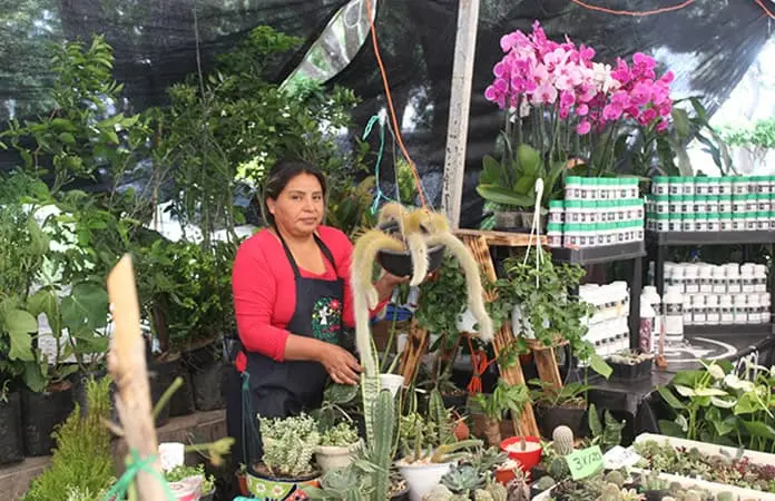 Desde Morelia, Reina oferta plantas exóticas en Soledad