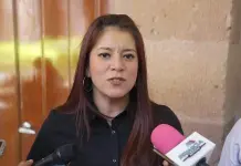 Critican en Morena reparto de despensas para promoción política