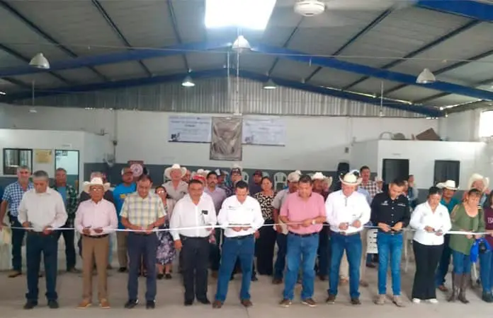 Atenderá TUA casos de juicios sucesorios