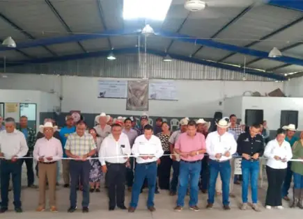 Atenderá TUA casos de juicios sucesorios