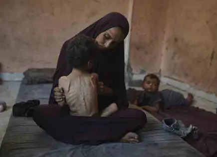 EU deja diálogo de paz en Gaza