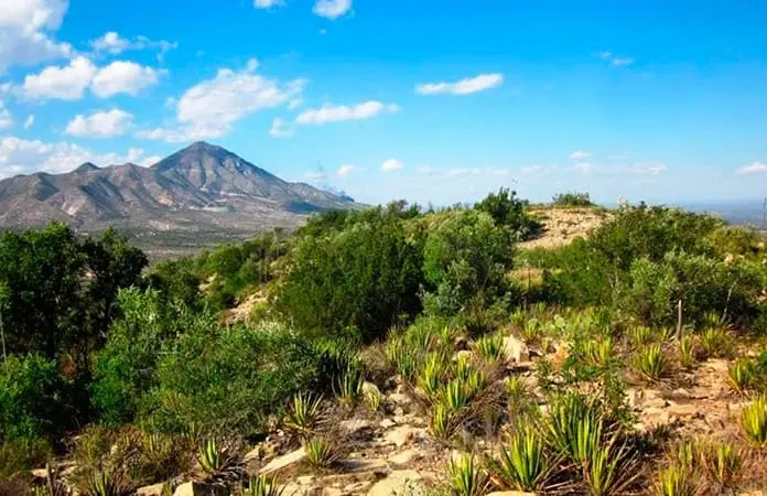 Cuestionable, el traer agua de Villa Hidalgo