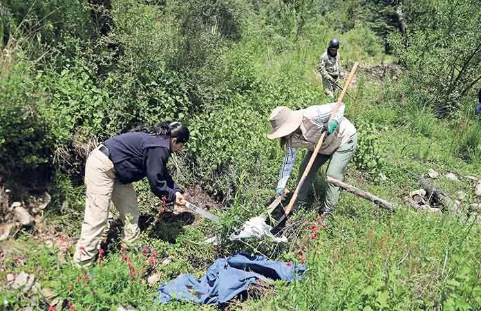 “Es como buscar una aguja en el Ajusco”