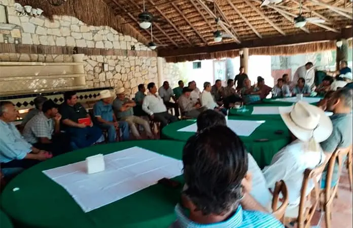 Frente de cañeros ante desplome de precio del azúcar