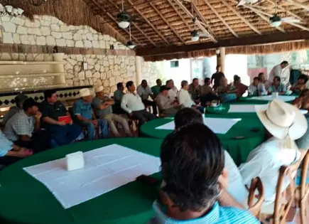 Frente de cañeros ante desplome de precio del azúcar