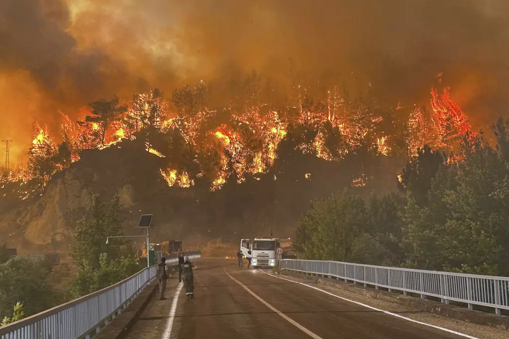 Tragedia en Turquía: bombero fallece combatiendo incendios