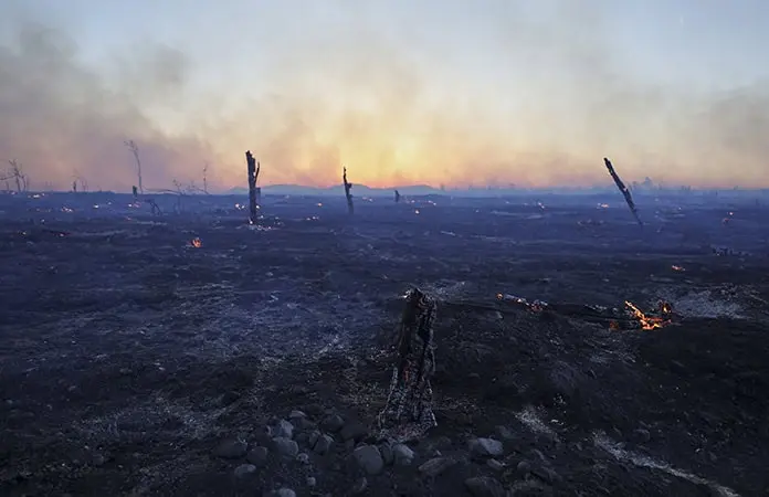 Incendio forestal arrasa suburbio