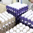Sube el precio del huevo al consumidor