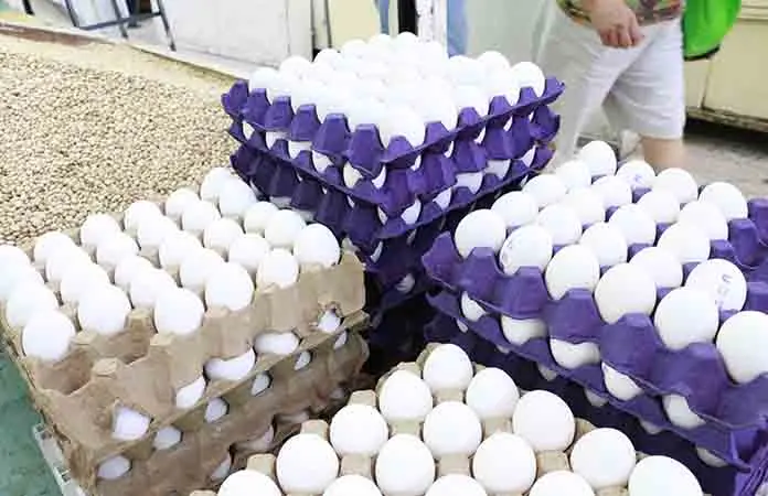 Sube el precio del huevo al consumidor