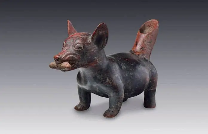 LOS PERRITOS PREHISTÓRICOS DE SLP