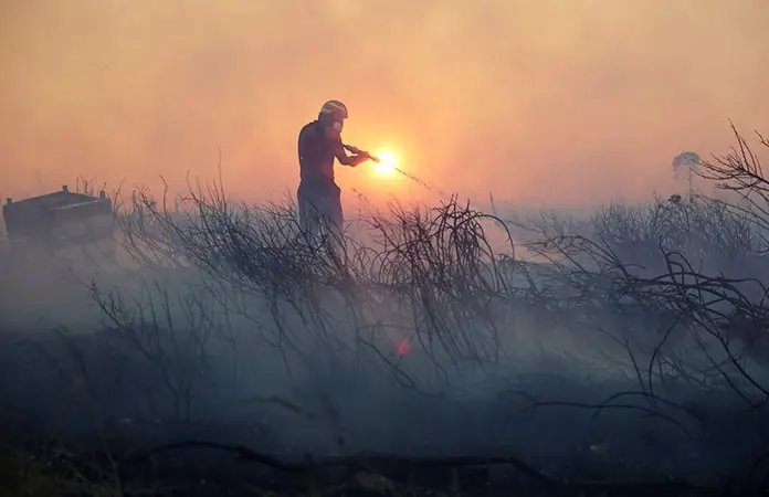 Incendios forestales castigan a varios países