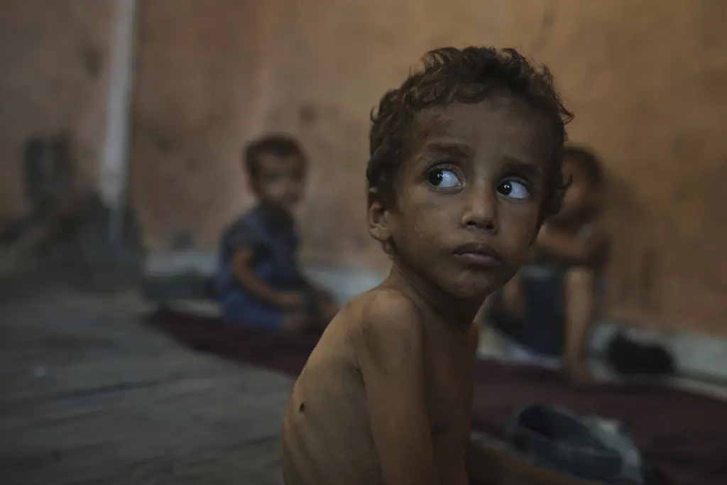 Conversaciones de alto el fuego en Gaza: demócratas vs. administración Trump
