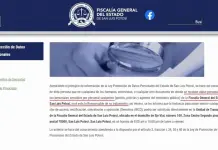 Ley se&ntilde;ala a la FGE responsable de proteger datos personales
