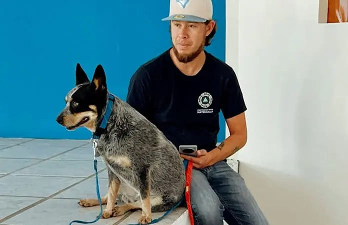 Promueven campaña vs. el maltrato animal