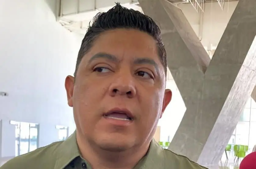 Ricardo Gallardo Cardona / Pulso